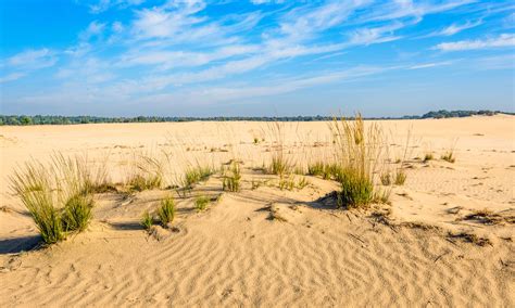 drunense duinen netherlands.